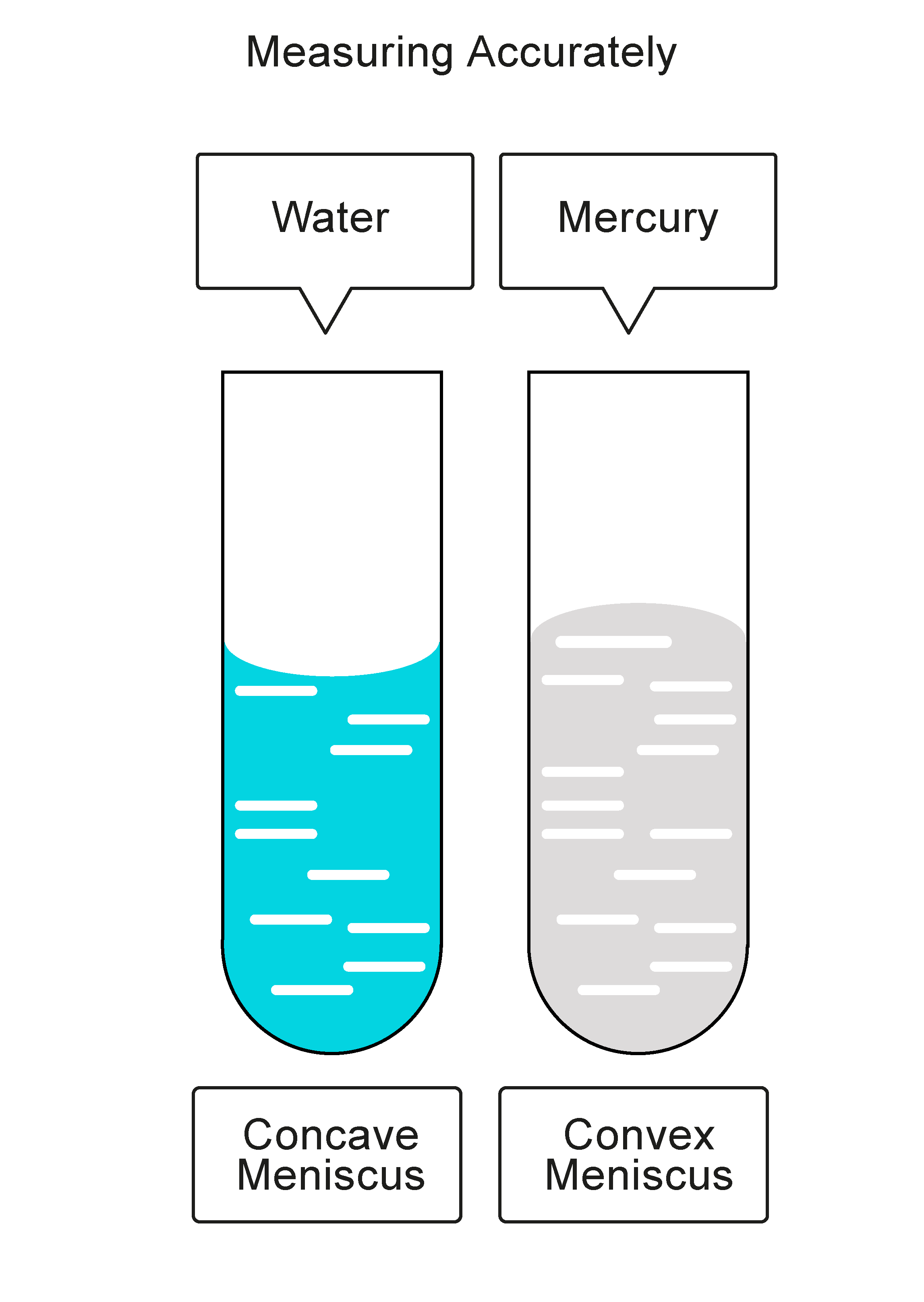 Measure Accurately Worksheet EdPlace