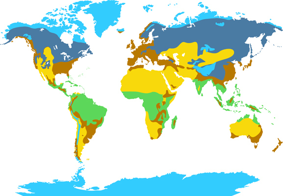 Map of the world