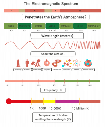 Explore the Electromagnetic Spectrum Worksheet - EdPlace