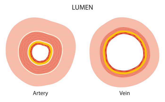 Lumen