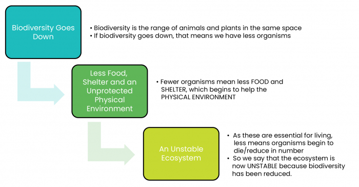 Biodiversity