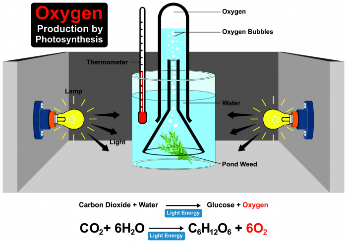 Oxygen Production