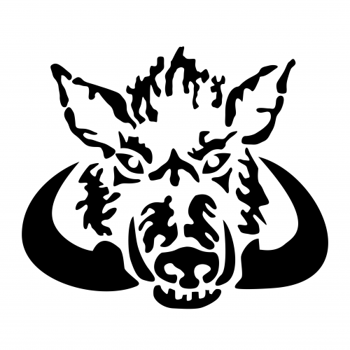 Boar's head