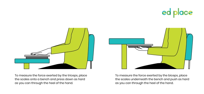 Image of student pushing on scales to measure muscle strength