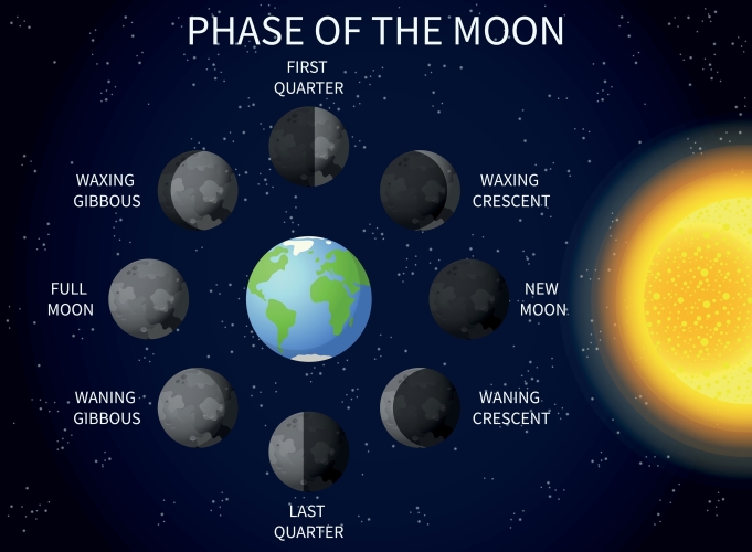 phases of the moon