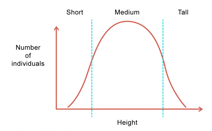 assignable variation types