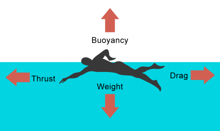 Force diagram