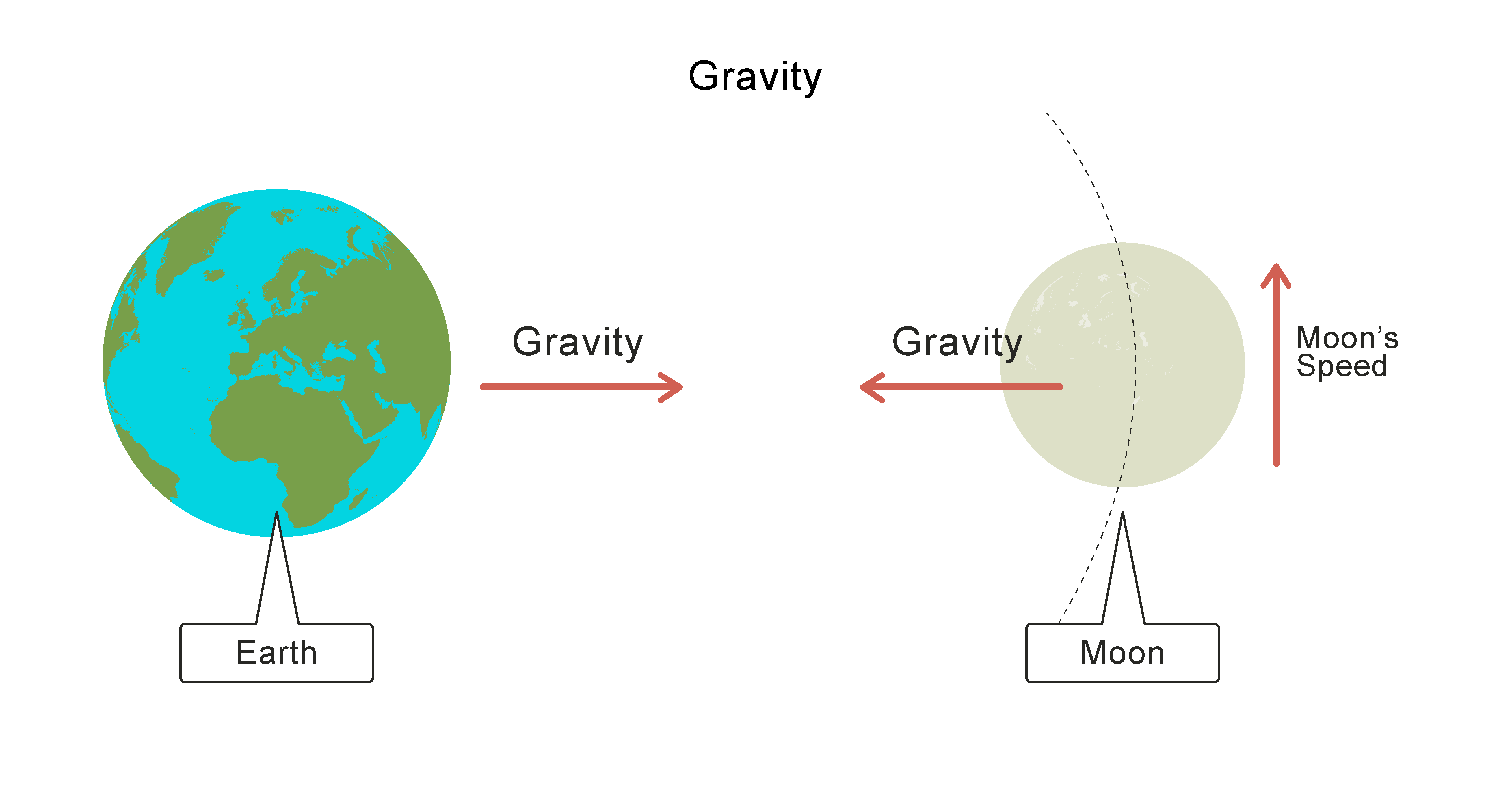 Earth and moon gravity