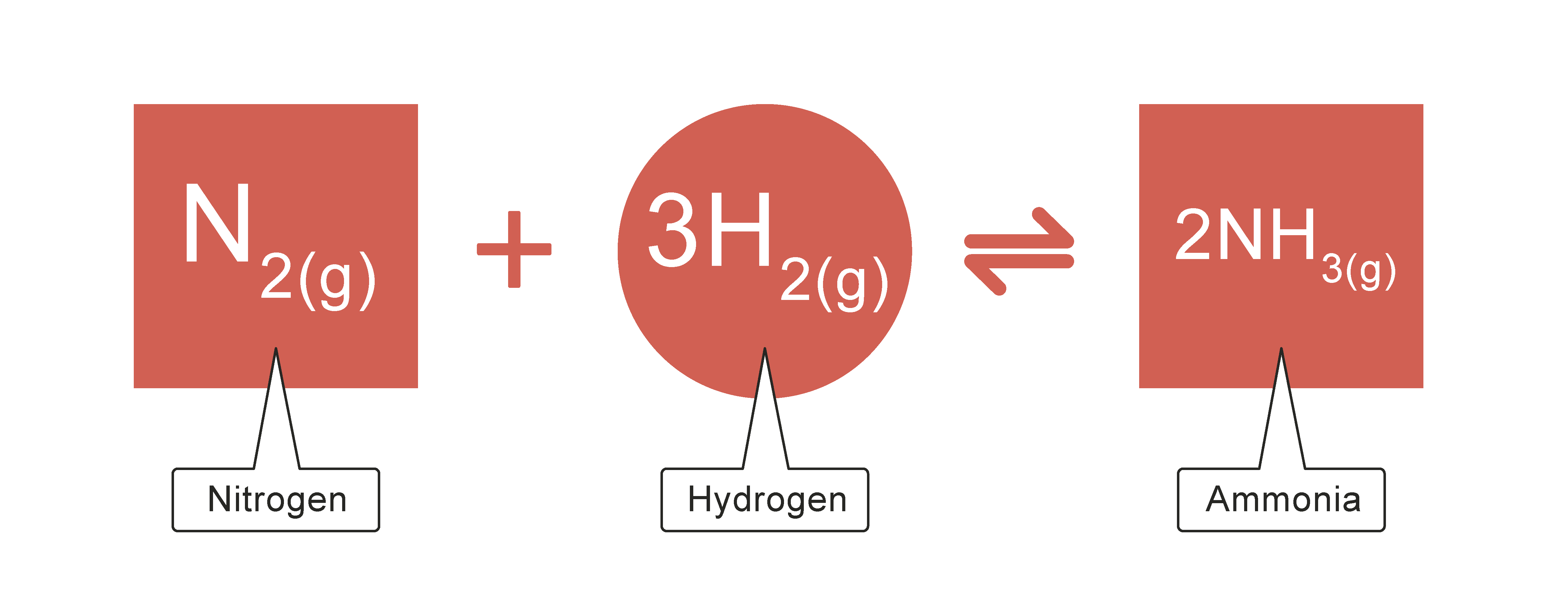 Equation for Haber Process