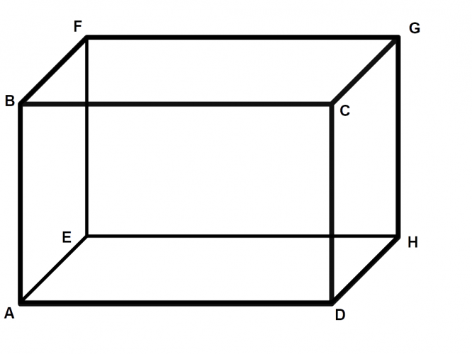 cuboid ABCDEFGH