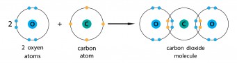Covalent bond to make carbon dioxide