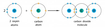 Covalent bond between carbon and oxygen