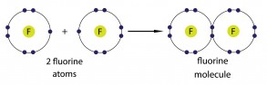 Fluorine atoms form a covalent bond to make a fluorine molecule