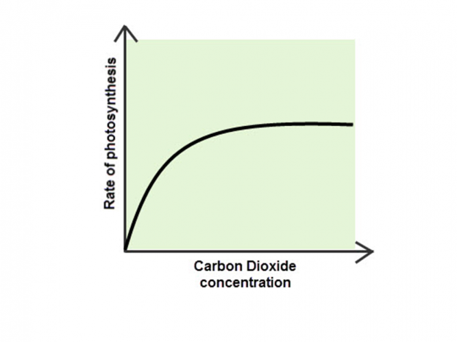 Image of graph showing carbon dioxide as a limiting factor