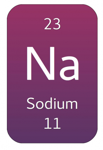 The periodic table box for sodium