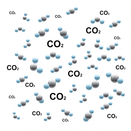 molecules of carbon dioxide