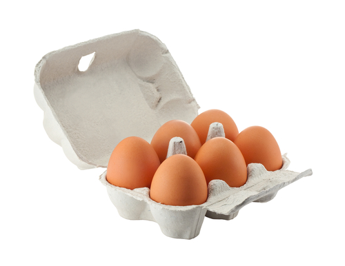 egg box with 6 eggs