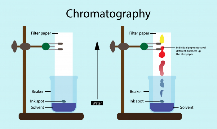 Image of chromatography equipment