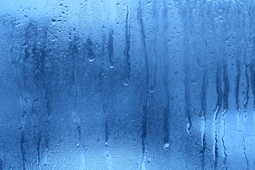 condensation on a window