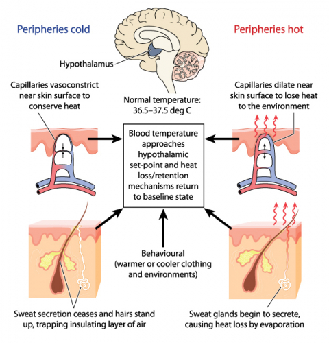 Temperature control