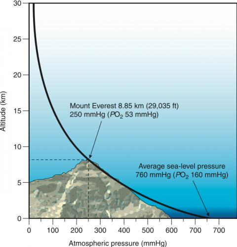 Pressure for Mount Everest