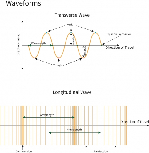 transverse wave above longitudinal wave