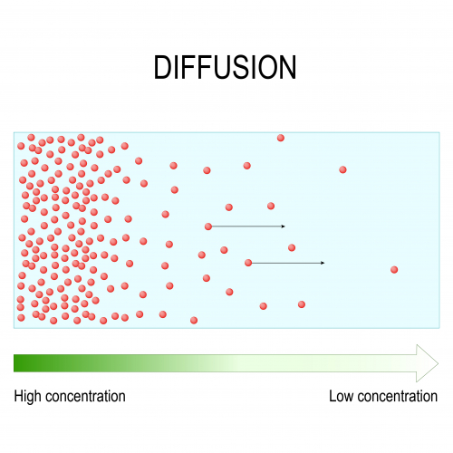 diffusion model