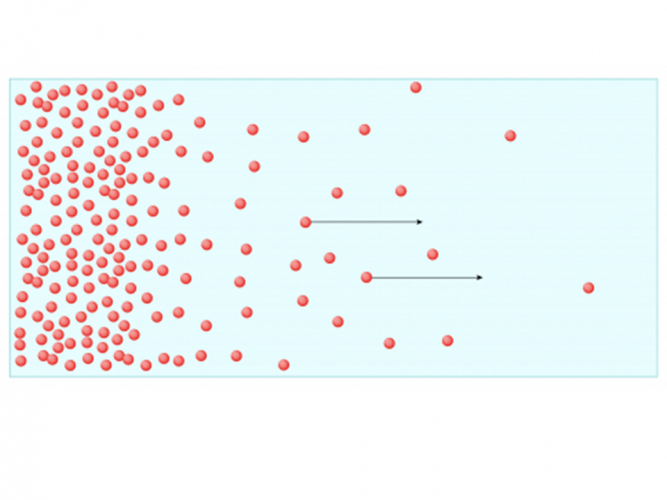 diffusion model