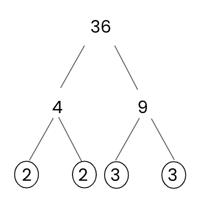 factor tree for 36