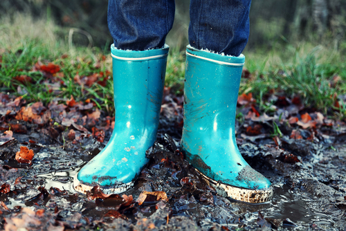 muddy wellies