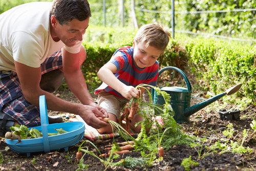 father and chld gardening