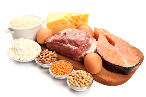 high protein foods