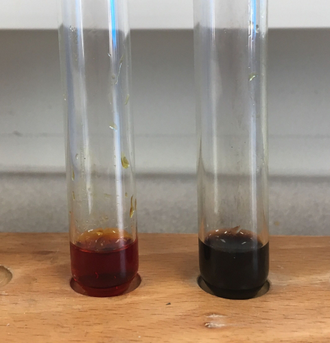 Iodine test for starch