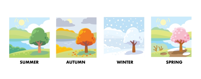 weather and seasons