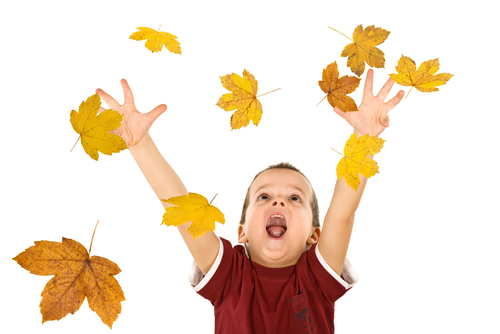 boy playing with autumn leaves