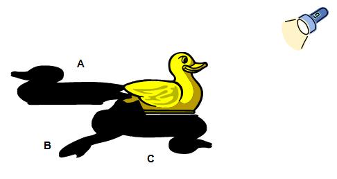 duck with 3 shadows