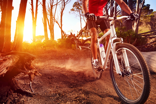 sunrise and a cyclist