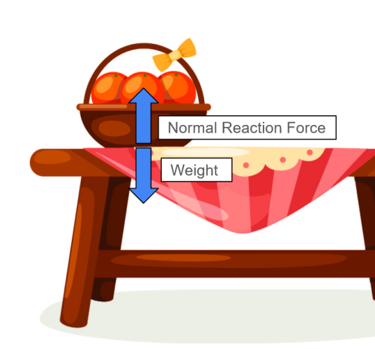 table showing normal reaction forces