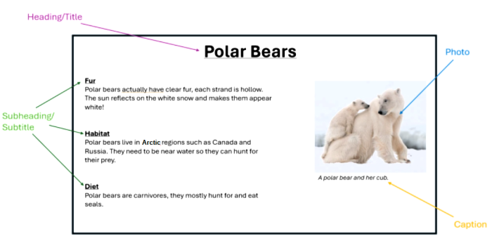 polar bear text