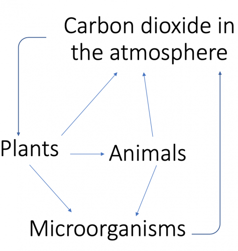 GCSE Biology Paper 2 Higher Practice Paper in the Style of AQA Trilogy