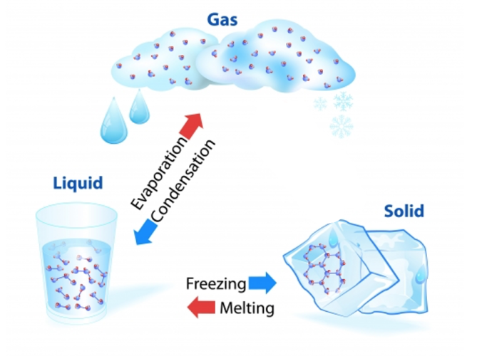 the water cycle