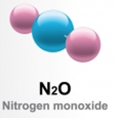 nitrogen monoxide molecule