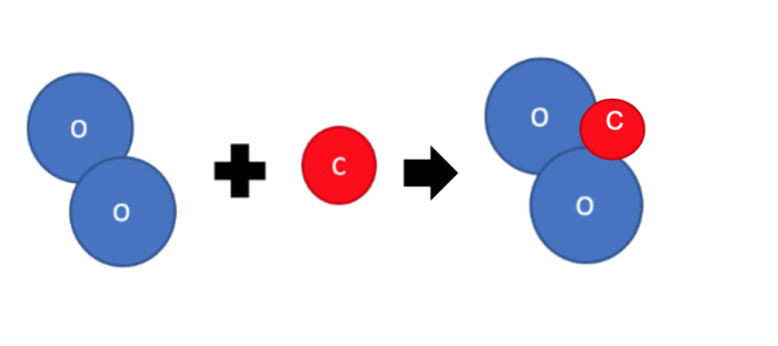 model to show production of carbon dioxide