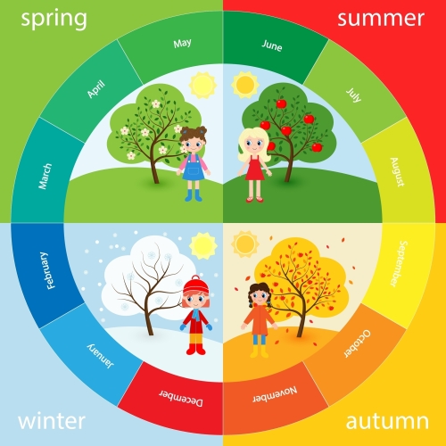 wheel showing seasons and outfits