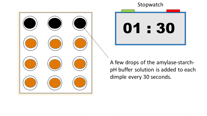 Effect of pH on amylase experiment