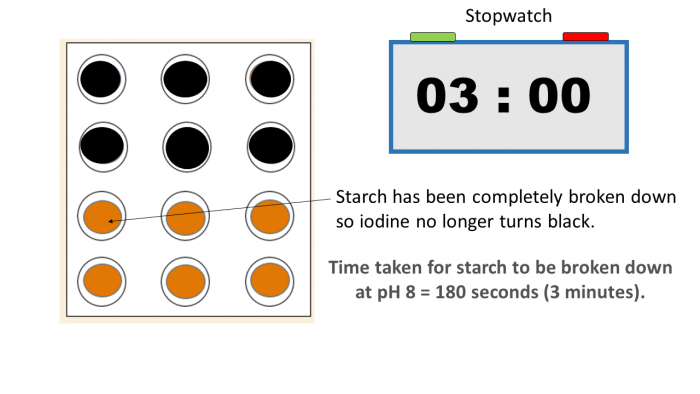 Experiment to show effect of pH on amylase