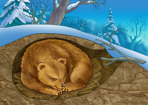 winter bear hibernating