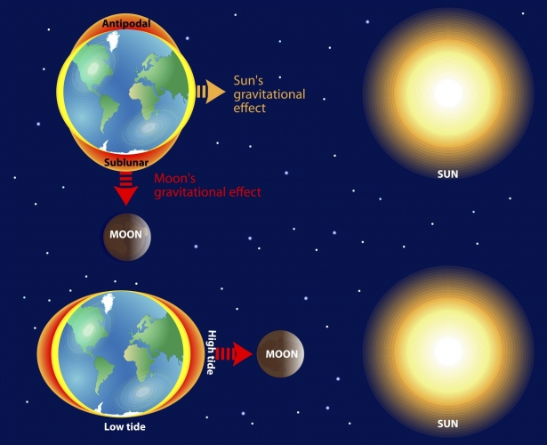 Image of how the moon changes the gravitational pull on the earth. 