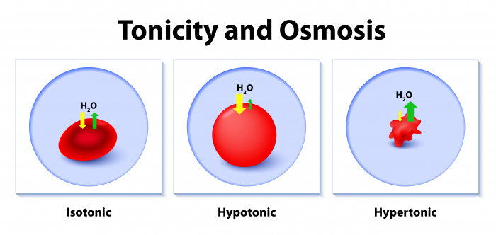 Tonicity and osmosis