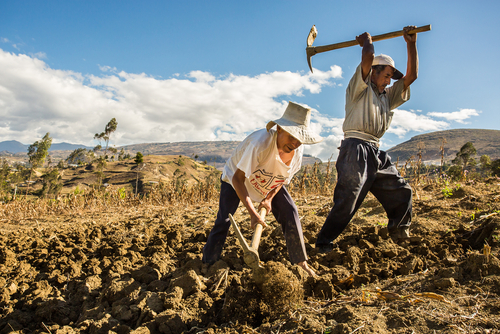 barren soil in Peru